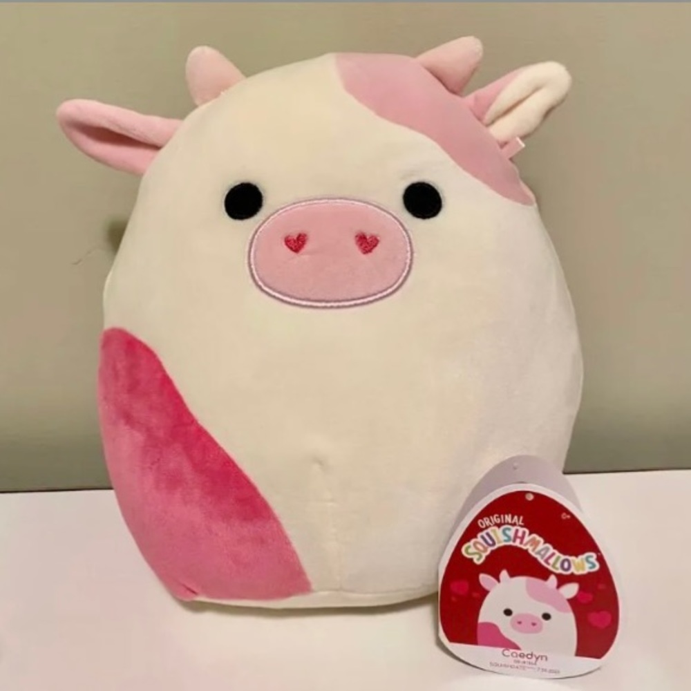 8in Valentines Caedyn Squishmallow